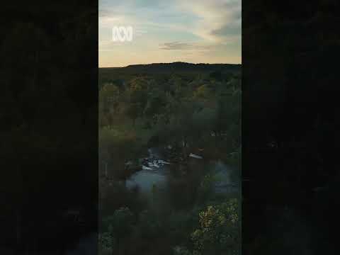Golden hour – Timber Creek, Northern Territory Nature Escapes ABC Australia