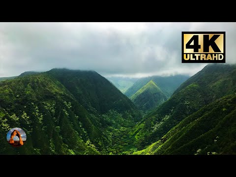 Relaxing Ambience on Hawaii Mountain Top for 8 Hours | 4K