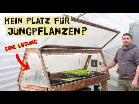 Jungpflanzen: Mehr Platz effizient nutzen!