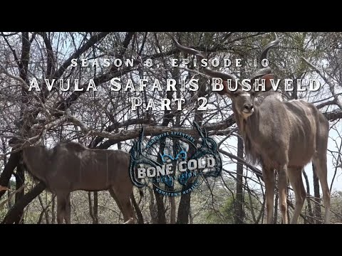 Season 8 Episode 10 Avula Safaris Bushveld Part 2