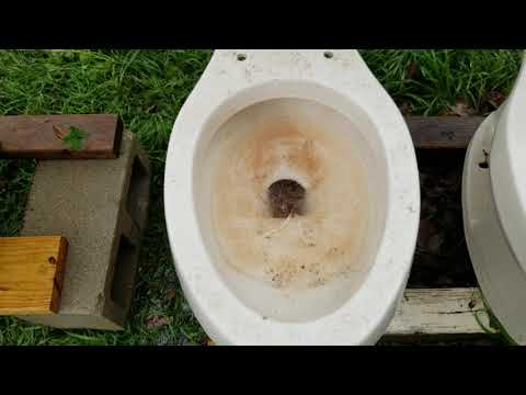 870. All of my toilets flushing