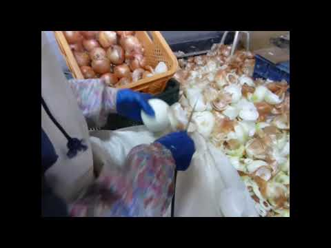 タマネギの皮を堆肥に入れて液体肥料を15日、粉末を1ヶ月保ちます