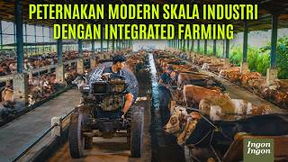 Download lagu Peternakan Sapi Terintegrasi Pabrik Tahu, Pupuk, Biogas, & Kandang Jadi Satu Sistem mp3