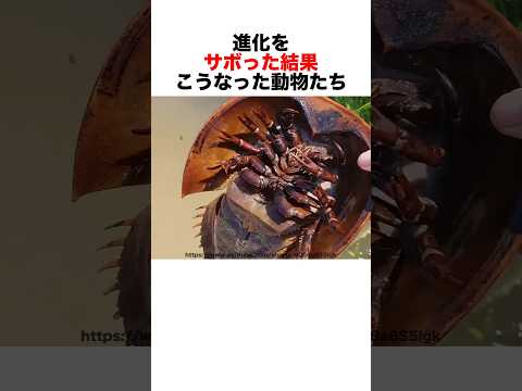 進化をサボったら生き延びました