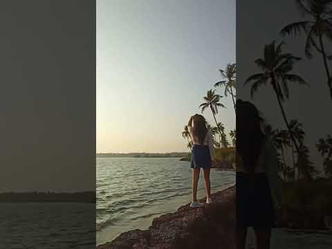 less crowded, hidden beach of North Goa somewhere in coconut woods! #youtube #trending #viral #vlog