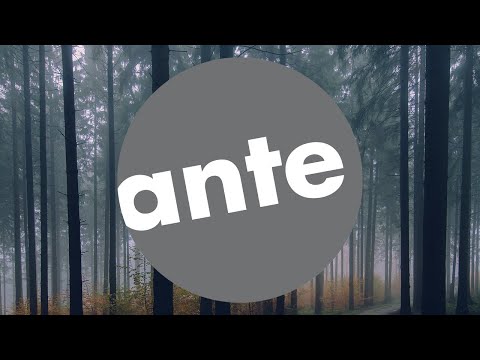 ante-holz GmbH | Unternehmensfilm
