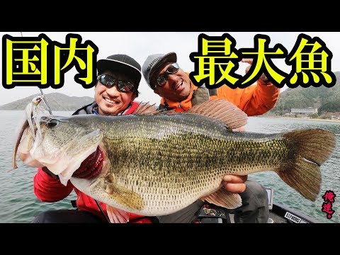 Video Play