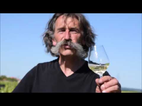 DOMAINE LANDRON PART 2 💥