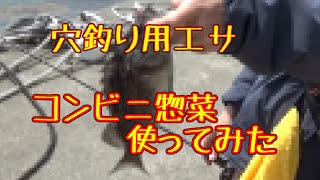 【どんだんず探検隊】１年ぶりに穴釣りしてみた件