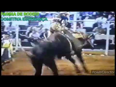 ROBEITO GONÇALCES V& TOURO GRILO CIA EDSON AVELINO.