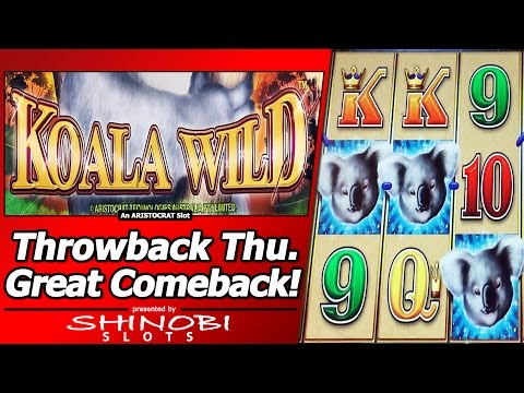 Koala Wild Slot - TBT Double or Nothing, Great Comeback with Free Spins and Re-Triggers