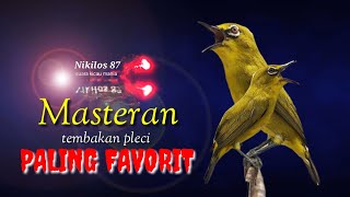 Download lagu masteran pleci tembakan wit wit cer panjang paling di sukai para pleci mania mp3