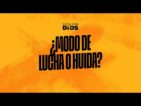 VCD Ep 1571 Fight or Flight Mode