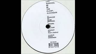 Adam Marshall - In The Place (2001)