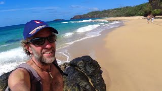 Is This the BEST BEACH in the World? Kauai, Hawaii