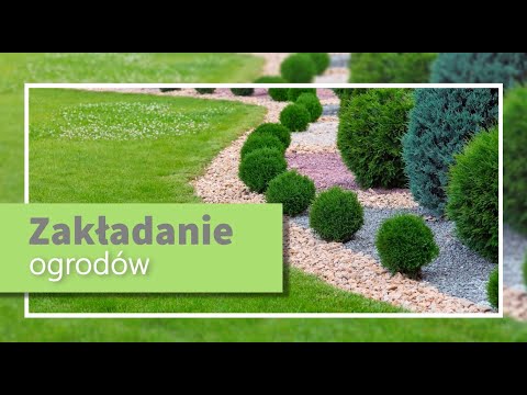 Zobacz filmy, Irga Bis Błażej Skurka, Częstochowa