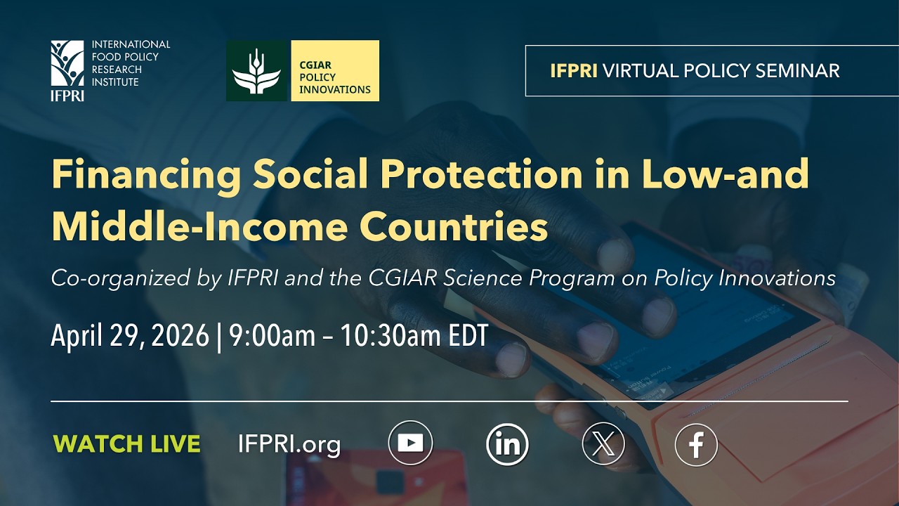 Financing Social Protection in Low-and Middle-Income Countries