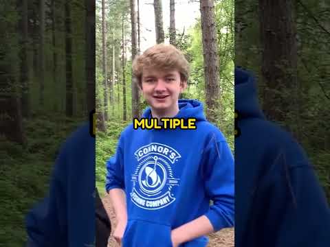 Dream Saved Tommyinnit's Life...