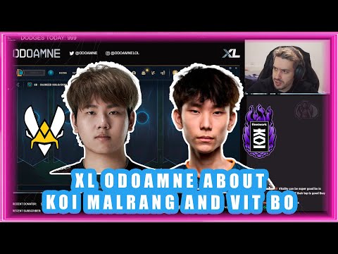 XL Odoamne About KOI Malrang and VIT BO