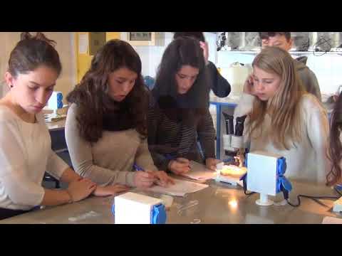 Vídeo Colegio Escola Pía De Calella