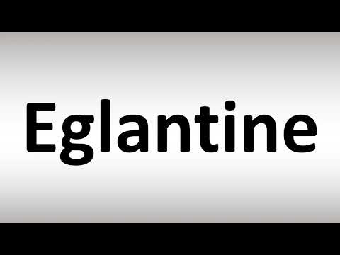 How to Pronounce Eglantine