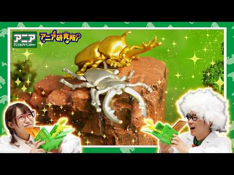 【アニア研究所】#30「幻の昆虫をつかまえろ！狙いをさだめて・・・昆虫キャッチャー」【タカラトミー公式】カブトムシ｜クワガタ
