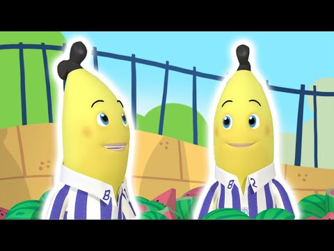 Bouncing Bananas | Bananas in Pyjamas Season 2 | Full Episodes | Bananas In Pyjamas