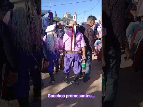 Patronales de Mailín. Santiago del Estero. Argentina.
