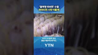 12년 만에 혈액 뒤바뀜 사고 #shorts / YTN