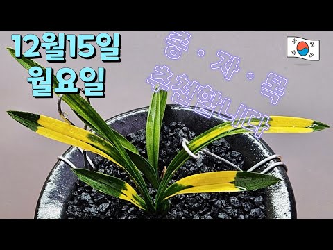 유튜브 썸네일