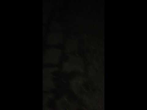 BVB-Wette eingelöst