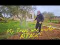 31 The Reality Of Renovating In Sicily My 20K Italian Villa