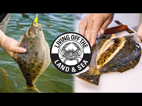 Catch and Cook Fluke from Shore | Whole Stuffed Flounder | Living off the Land & Sea 9
