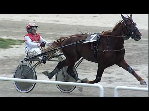 Napoli Trotto 03/03/2023 - 2ª corsa