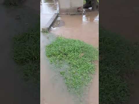 El Galpón Salta: nuevamente inundado