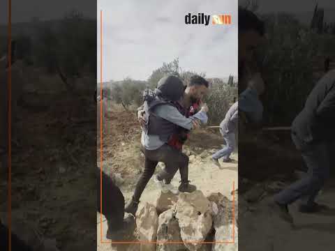 Israeli settlers a't't'a'c'k journalist and Palestinians during West Bank olive harvest | Daily Sun