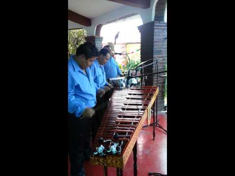magia musical marimbas df y mexico. mazatlan mike laure 59864520