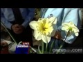 Landscaping Tips- Flower Bulb summer Care