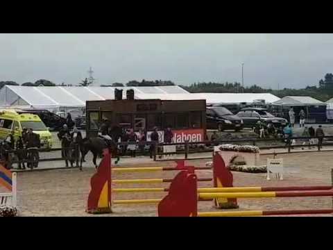 Consistent 7 yo, 1.35, Rogaland 50 års jubileum 2017