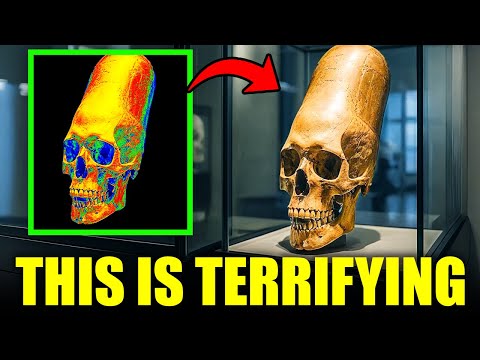 DNA Just Confirmed the Paracas Skulls Aren’t Fully Human — And Scientists Are Speechless