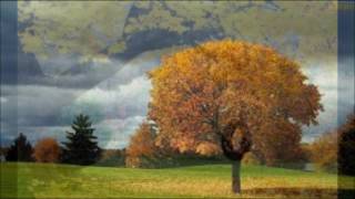 ELIS REGINA   -  O COMPOSITOR ME DISSE