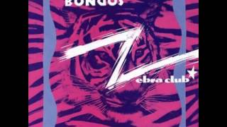 The Bongos "Zebra Club"