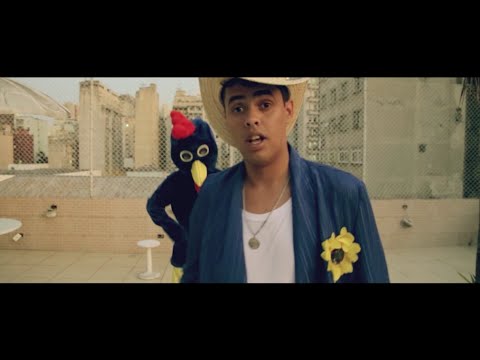 REI DA CACIMBINHA - GALO DESREGULADO - CLIPE OFICIAL