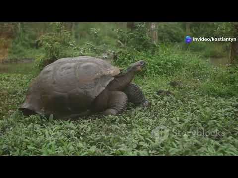 25 Greatest Natural Wonders of the World - TravelVideo