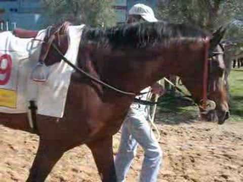 Gran Premio de Andalucía (Por Dubai Millennium)