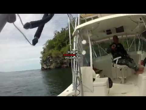 Trinidad Spearfishing Pt.2......Lobster Hunt Trini Style