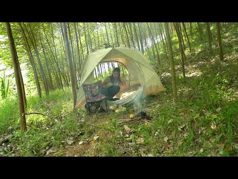 SOLO OVERNIGHT CAMPING IN THE RAIN - RELAXING IN THE TENT WITH THE SATISFYING SOUND OF NATURE - ASMR