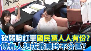 翁曉玲感謝「黨團支持提案」國民黨立委都是幫兇？ 傳有人想拔她「不分區」吳沛憶喊話鄭麗文：想彌補就砍掉翁曉玲席次｜三立新聞網 SETN.com