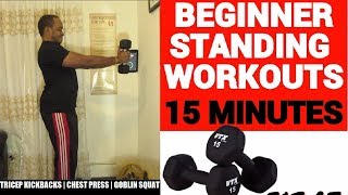 15 Minute Beginner Dumbbell Workout | Standing Low Impact | Fit15