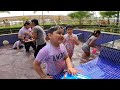 Holi Pool Party Chiku Malik Vlogs